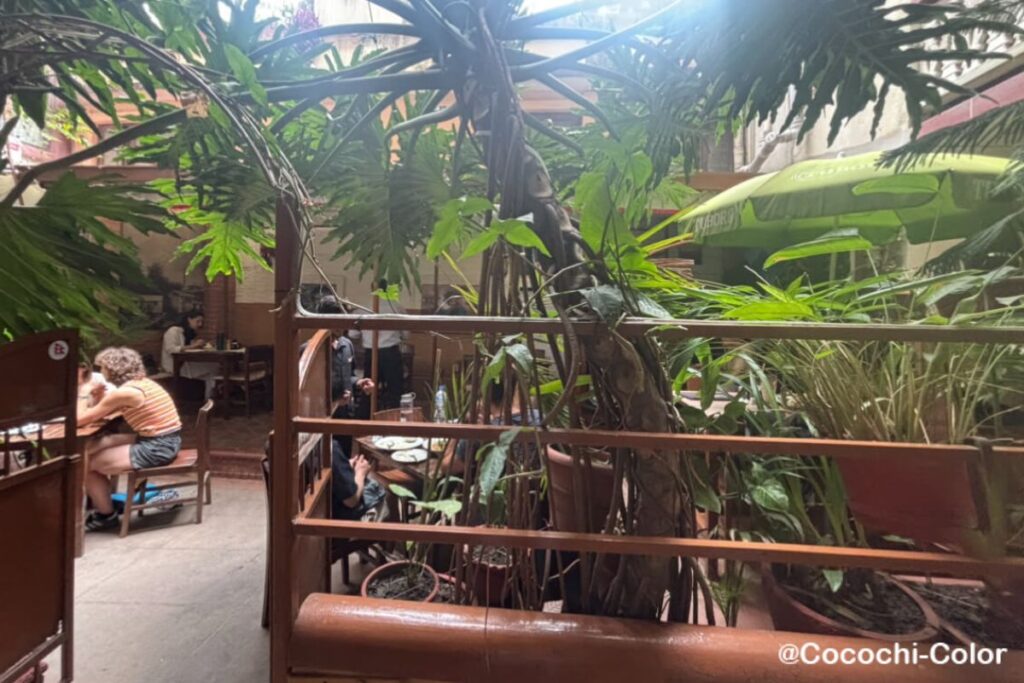 ネパール・カトマンズ カフェ「Yala Cafe & Coffee Shop」テラス席