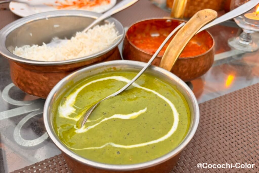 ネパール カトマンズインド料理屋さん「Third Eye Restaurant」ほうれん草カレー