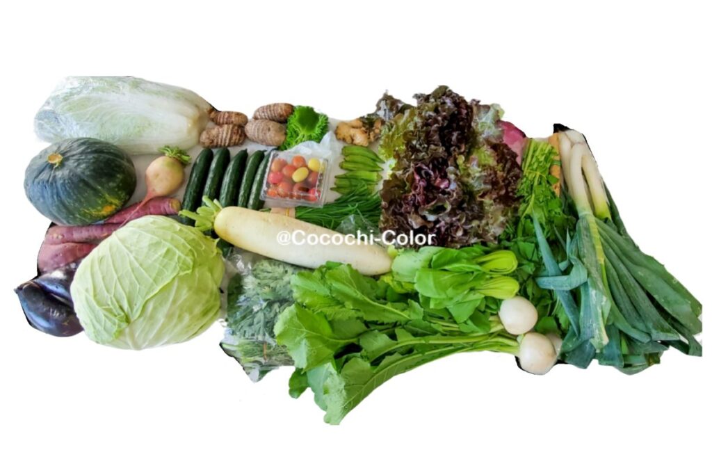 メキシコの野菜デリバリー「Edmundoさん」