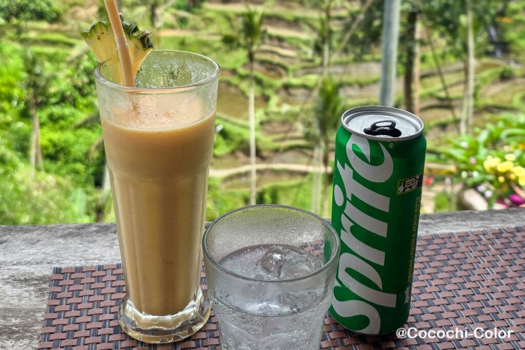 ウブドでブランコが楽しめるスポット「Uma Ceking」