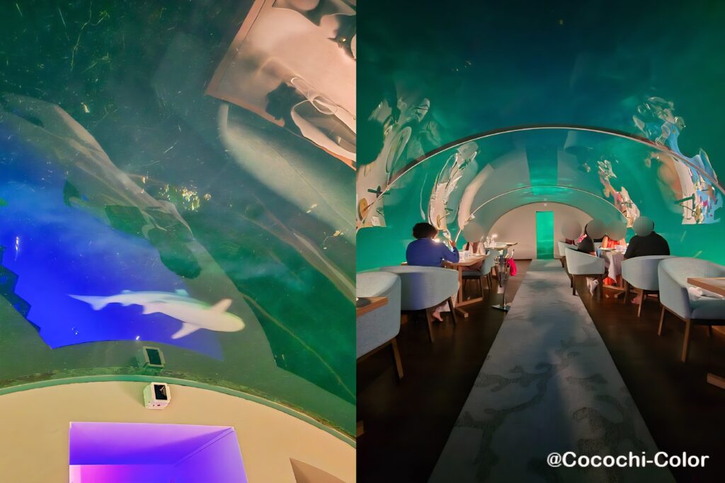 コンラッドモルディブで海中で食事を楽しめるレストラン「Ithaa」