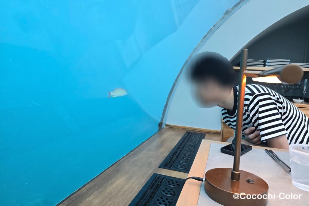 コンラッドモルディブで海中で食事を楽しめるレストラン「Ithaa」