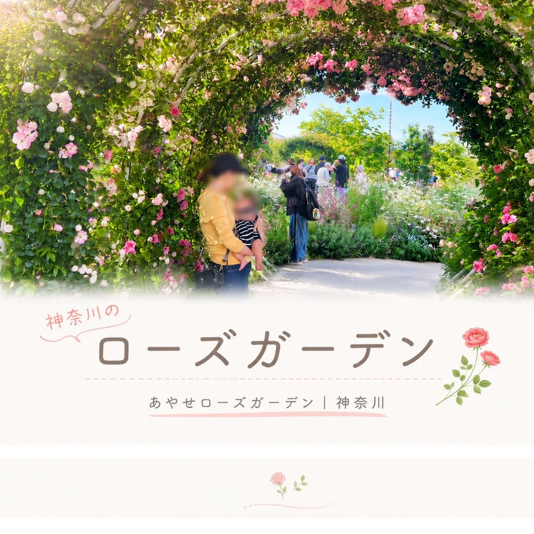 あやせローズガーデンのレポ｜無料・駐車場あり・子連れ・ペットOK